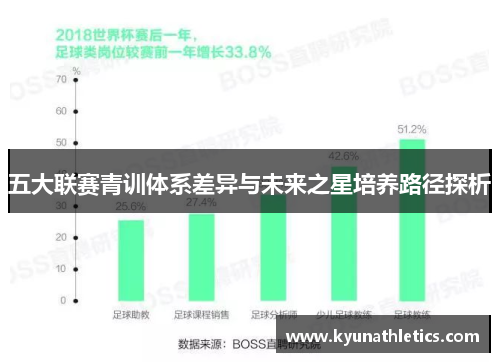 五大联赛青训体系差异与未来之星培养路径探析